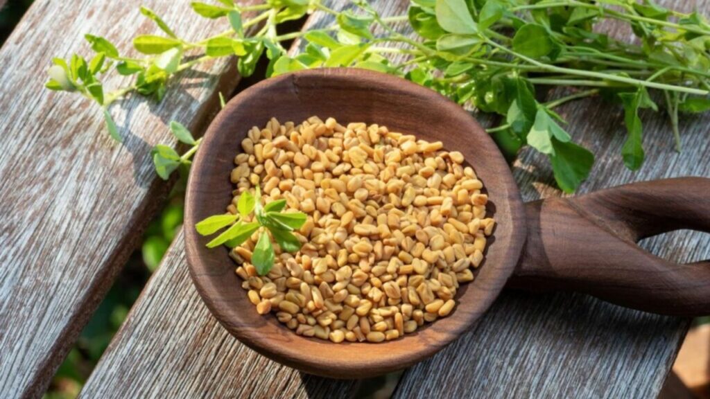 Fenugreek Seeds: A Two-Week Guide to Enhanced Health